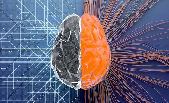 Interconnected operational excellence